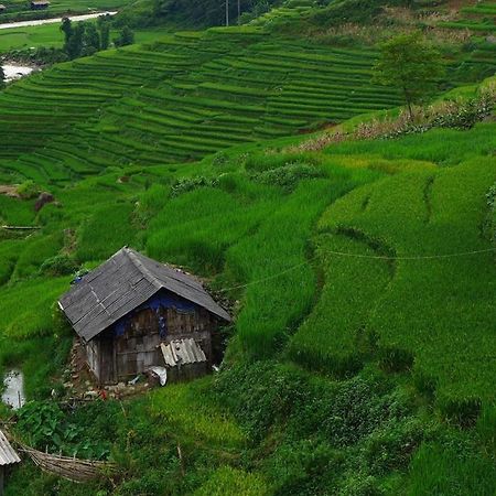 Freedom Homestay & Trekking Sa Pa Buitenkant foto