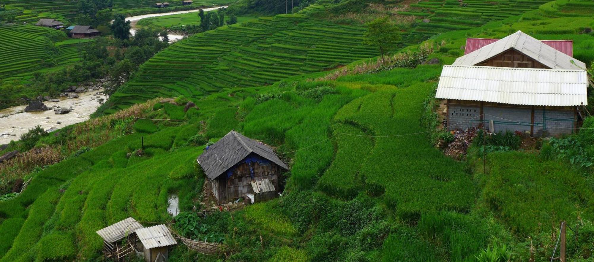 Freedom Homestay & Trekking Sa Pa Buitenkant foto