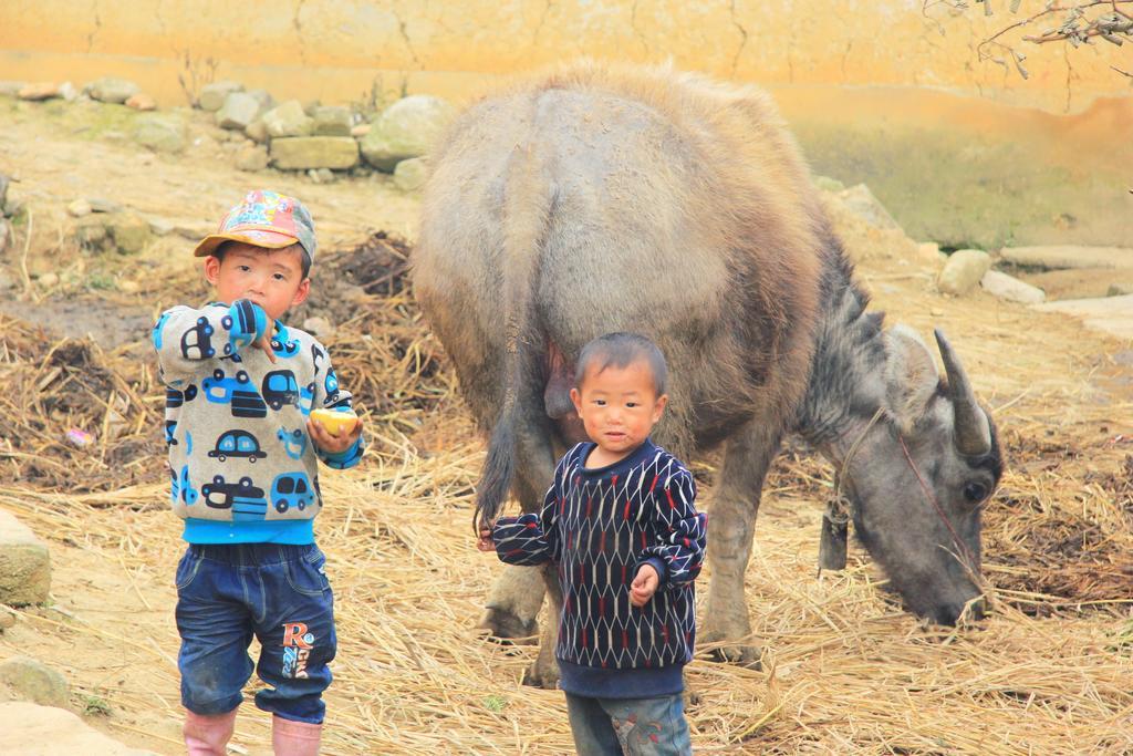 Freedom Homestay & Trekking Sa Pa Buitenkant foto