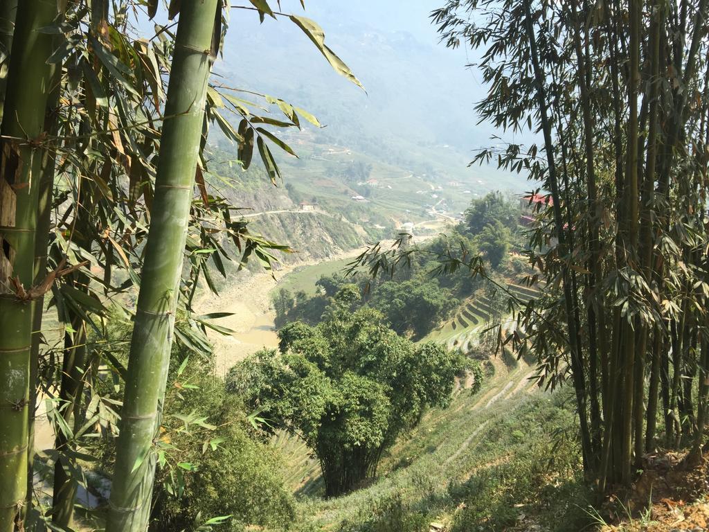 Freedom Homestay & Trekking Sa Pa Buitenkant foto