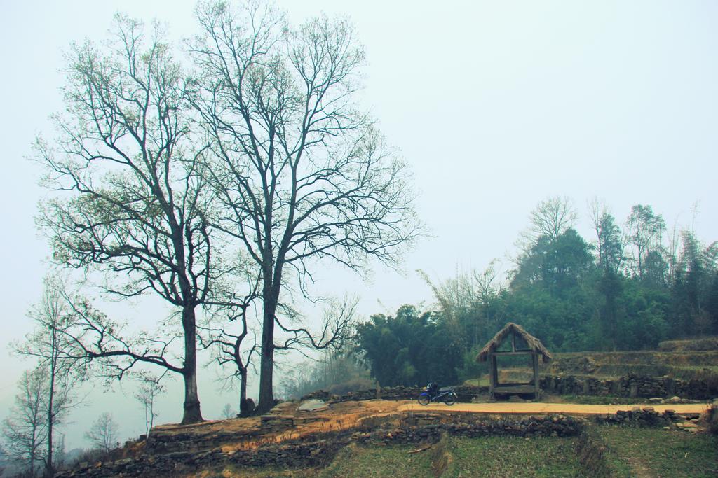 Freedom Homestay & Trekking Sa Pa Buitenkant foto