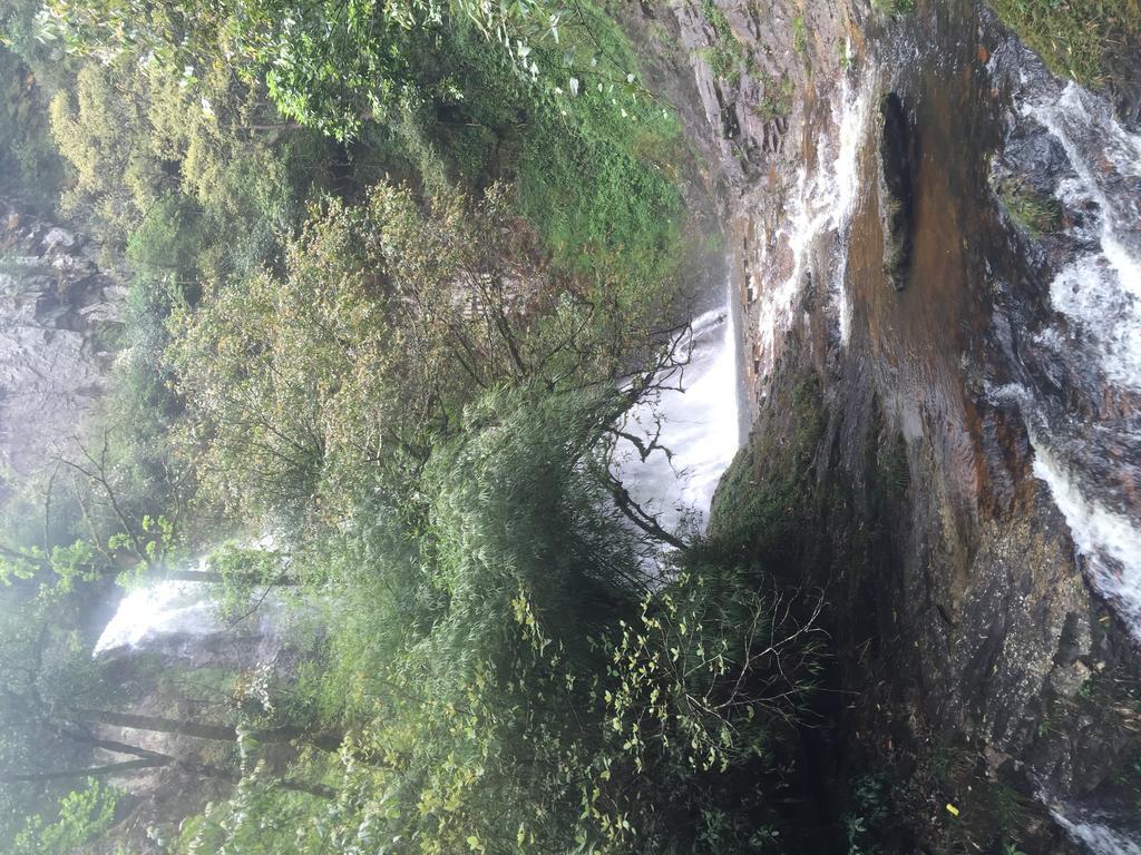 Freedom Homestay & Trekking Sa Pa Buitenkant foto