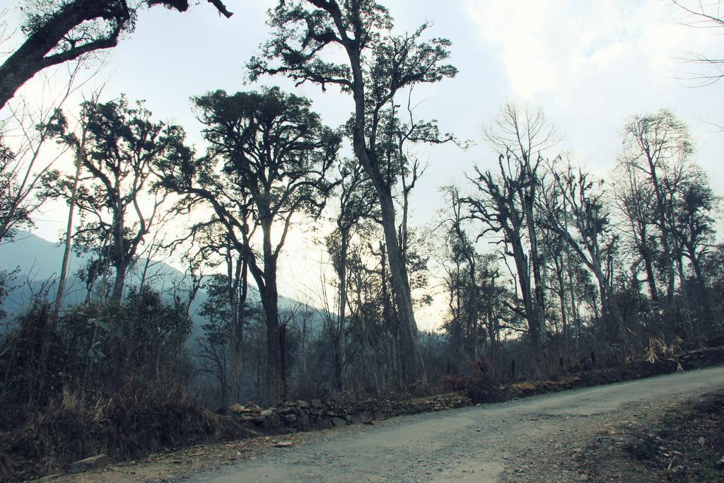 Freedom Homestay & Trekking Sa Pa Buitenkant foto