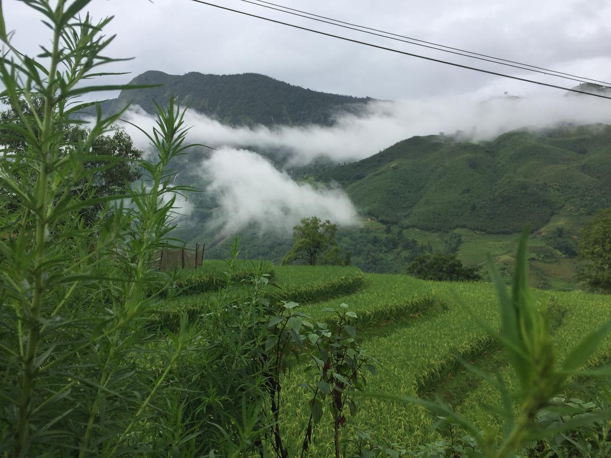 Freedom Homestay & Trekking Sa Pa Buitenkant foto